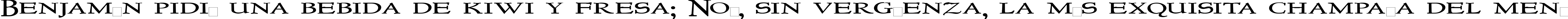 Пример написания шрифтом NewStyleTitlingWide текста на испанском