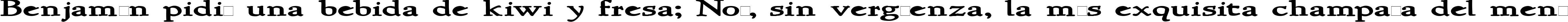 Пример написания шрифтом NewStyleWide Bold текста на испанском