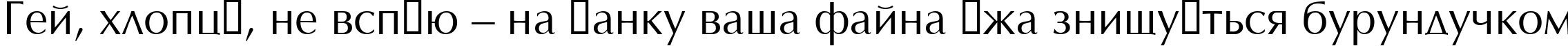 Пример написания шрифтом Optimal текста на украинском