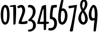 Пример написания цифр шрифтом Oz Handicraft BT