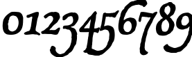 Пример написания цифр шрифтом P22 Operina Fiore