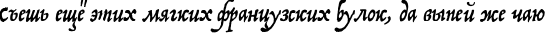 Пример написания шрифтом P22 Operina Pro текста на русском