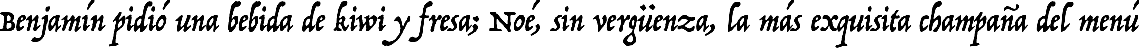 Пример написания шрифтом P22 Operina Romano текста на испанском