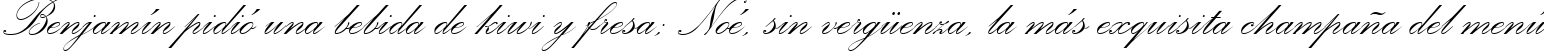 Пример написания шрифтом Palace Script MT текста на испанском