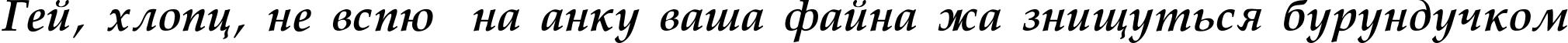Пример написания шрифтом Palatino-Bold-Italic текста на украинском