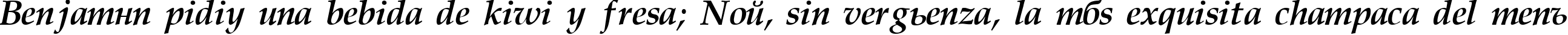 Пример написания шрифтом Palatino Cyrillic Bold Italic текста на испанском