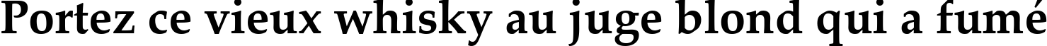 Пример написания шрифтом Palatino Linotype Bold текста на французском