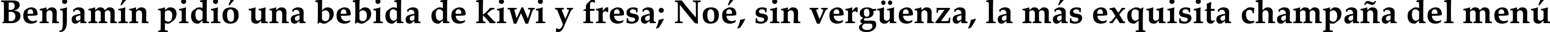 Пример написания шрифтом Palatino Linotype Bold текста на испанском