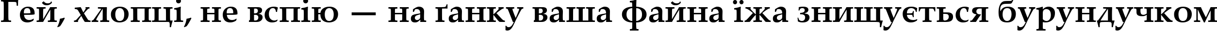 Пример написания шрифтом Palatino Linotype Bold текста на украинском