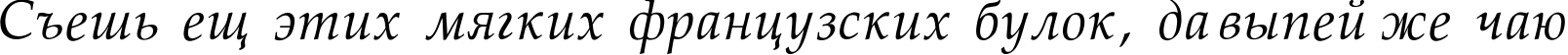 Пример написания шрифтом Palatino-Normal-Italic текста на русском