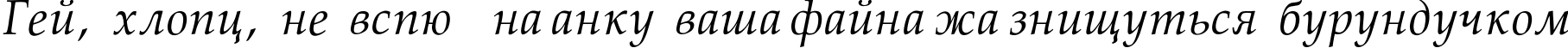 Пример написания шрифтом Palatino-Normal-Italic текста на украинском