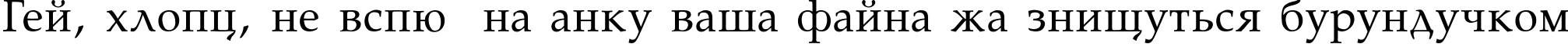 Пример написания шрифтом Palatino-Normal текста на украинском