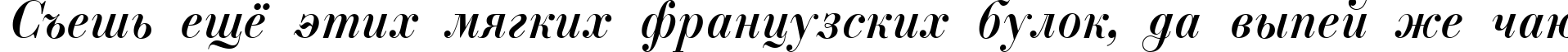 Пример написания шрифтом ParagonNordCTT-Italic текста на русском