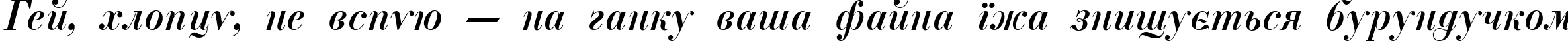 Пример написания шрифтом ParagonNordCTT-Italic текста на украинском