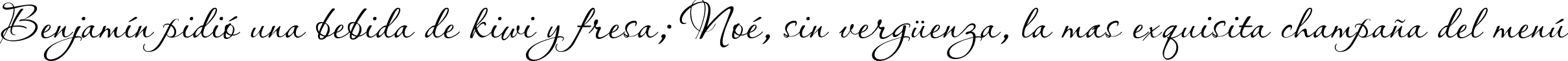 Пример написания шрифтом PassionsConflictROB текста на испанском