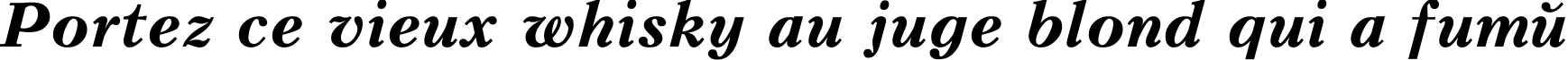 Пример написания шрифтом Peterburg Bold Italic текста на французском