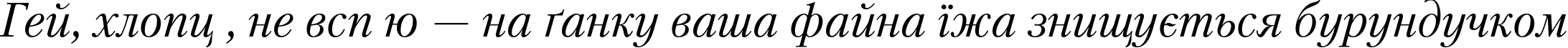 Пример написания шрифтом PetersburgC Italic текста на украинском