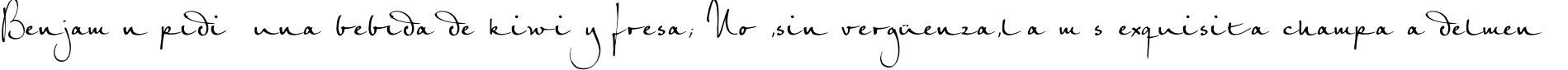 Пример написания шрифтом PetraScriptEF-Regular текста на испанском