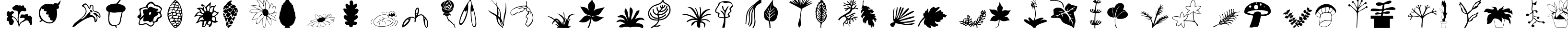Пример написания английского алфавита шрифтом Plants