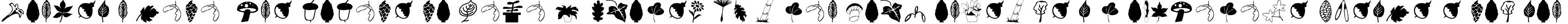 Пример написания шрифтом Plants текста на испанском