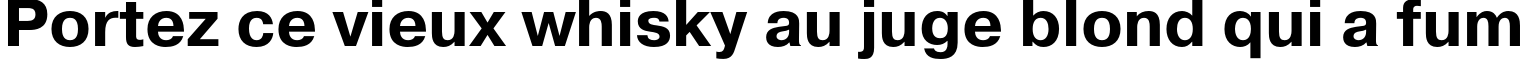 Пример написания шрифтом PragmaticaC Bold текста на французском