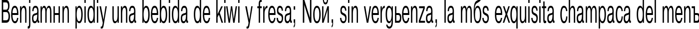 Пример написания шрифтом PragmaticaCTT 45n текста на испанском