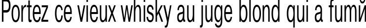 Пример написания шрифтом PragmaticaCTT50n текста на французском