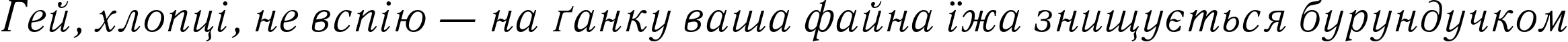 Пример написания шрифтом QuantAntiquaC Italic текста на украинском