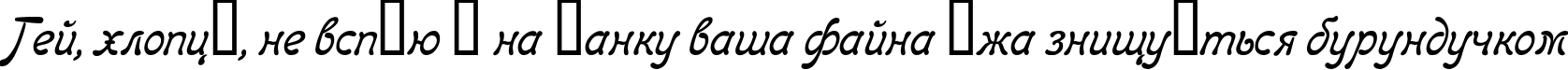 Пример написания шрифтом Regina Kursiv Italic текста на украинском