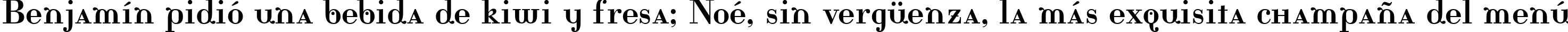 Пример написания шрифтом Rina текста на испанском