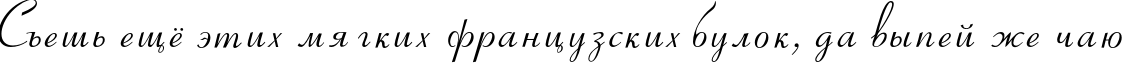 Пример написания шрифтом Rivera TYGRA текста на русском