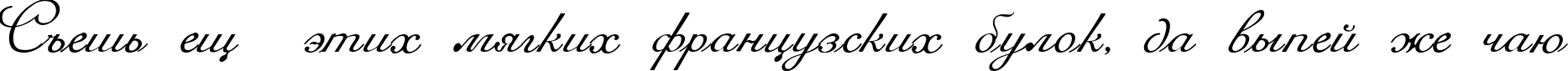Пример написания шрифтом Romana Script текста на русском