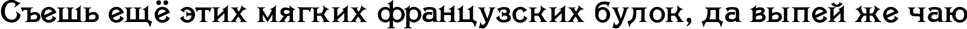 Пример написания шрифтом Savin TYGRA текста на русском