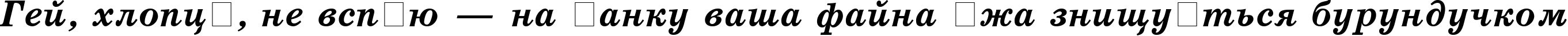 Пример написания шрифтом SchoolBook BoldItalic Cyrillic текста на украинском