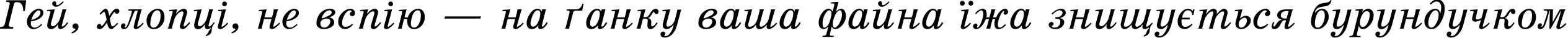 Пример написания шрифтом SchoolBookAC Italic текста на украинском