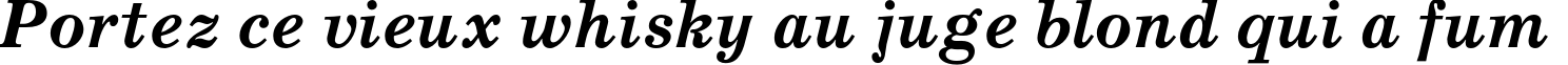Пример написания шрифтом SchoolBookC Bold Italic текста на французском