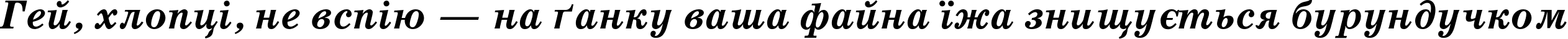 Пример написания шрифтом SchoolBookC Bold Italic текста на украинском