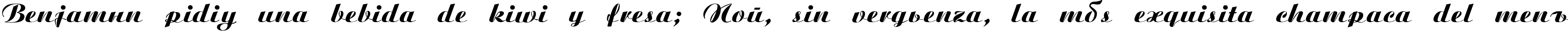 Пример написания шрифтом Script Plain:001.001 текста на испанском