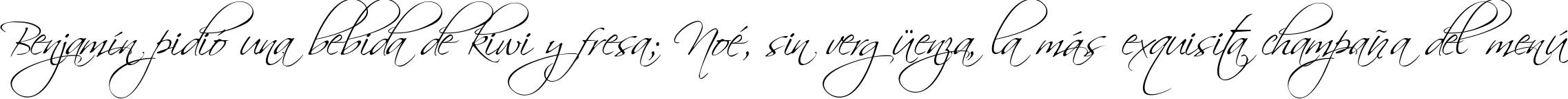 Пример написания шрифтом Scriptina текста на испанском