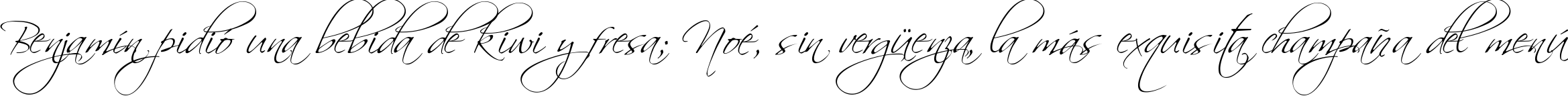 Пример написания шрифтом Scriptorama текста на испанском