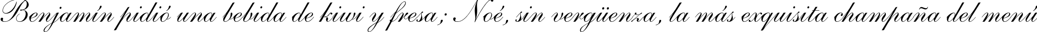 Пример написания шрифтом Shelley Script LT Std текста на испанском