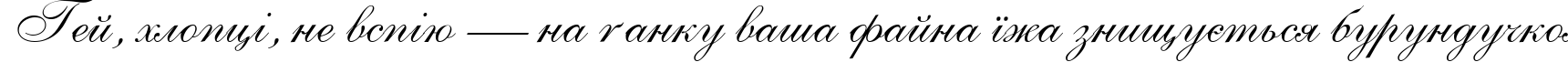 Пример написания шрифтом ShellyAllegroC текста на украинском