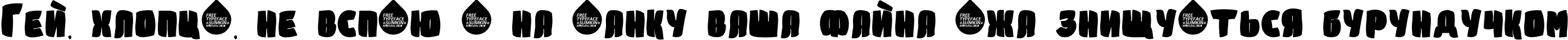 Пример написания шрифтом Sumkin freetype MRfrukta 2010 текста на украинском