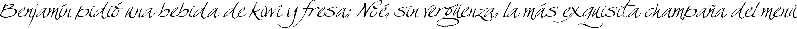 Пример написания шрифтом Swan Song текста на испанском