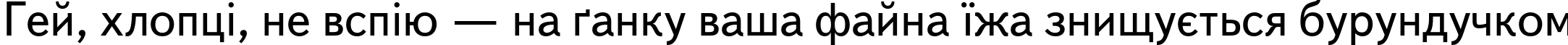 Пример написания шрифтом TextBookC текста на украинском