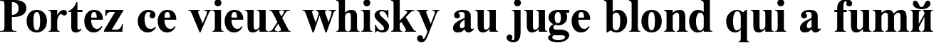 Пример написания шрифтом Time Roman Bold текста на французском