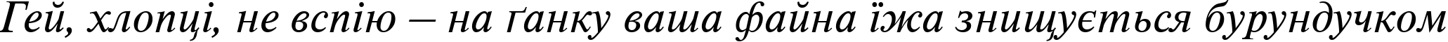 Пример написания шрифтом TimelessTCYLig Italic текста на украинском