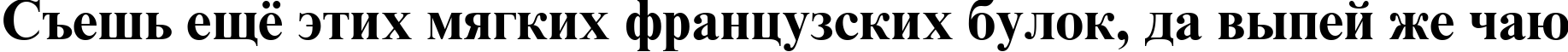 Пример написания шрифтом Times New Roman Cyr Bold текста на русском