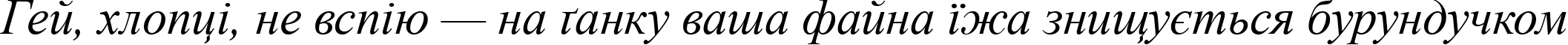 Пример написания шрифтом Times New Roman Italic текста на украинском