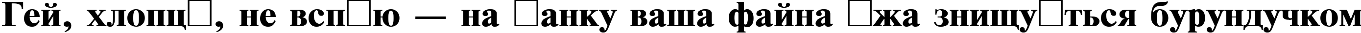 Пример написания шрифтом TimesET110B текста на украинском